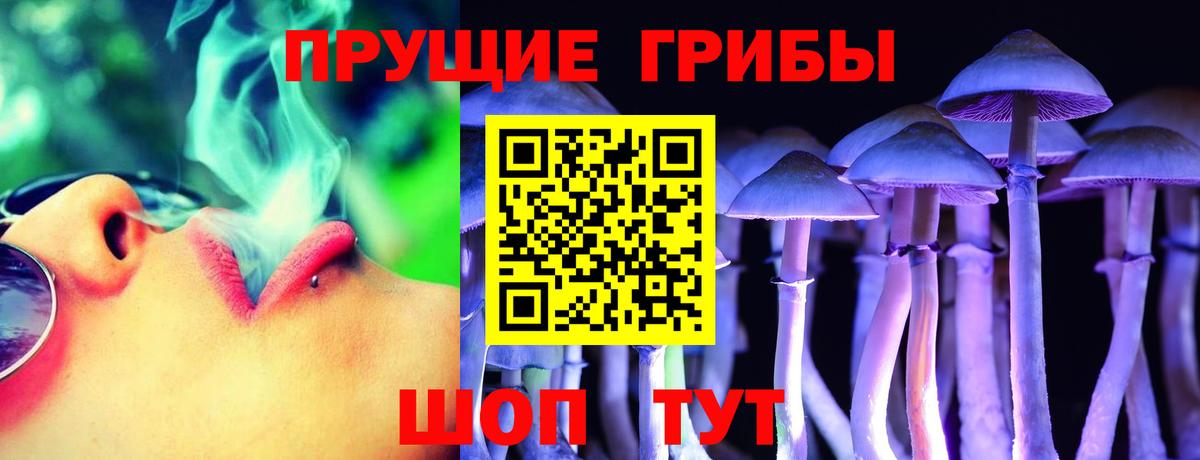 Псилоцибиновые грибы Cubensis Зеленодольск